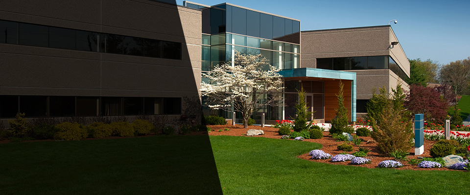 Hamilton Landscapers