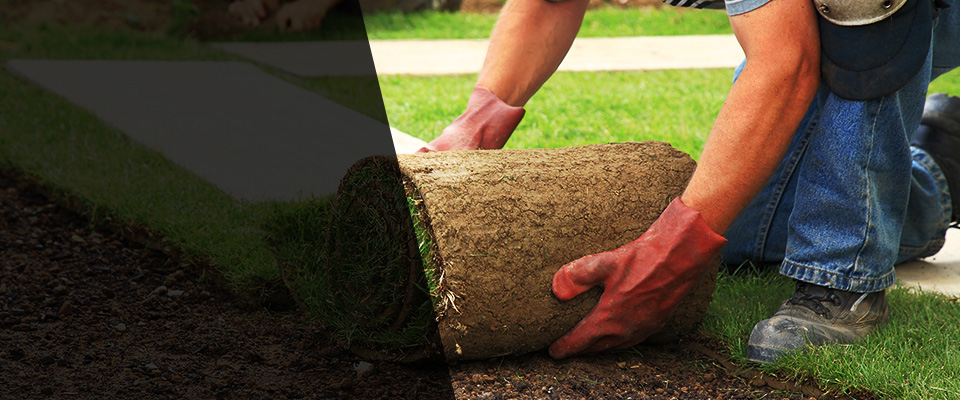 Hamilton Landscapers